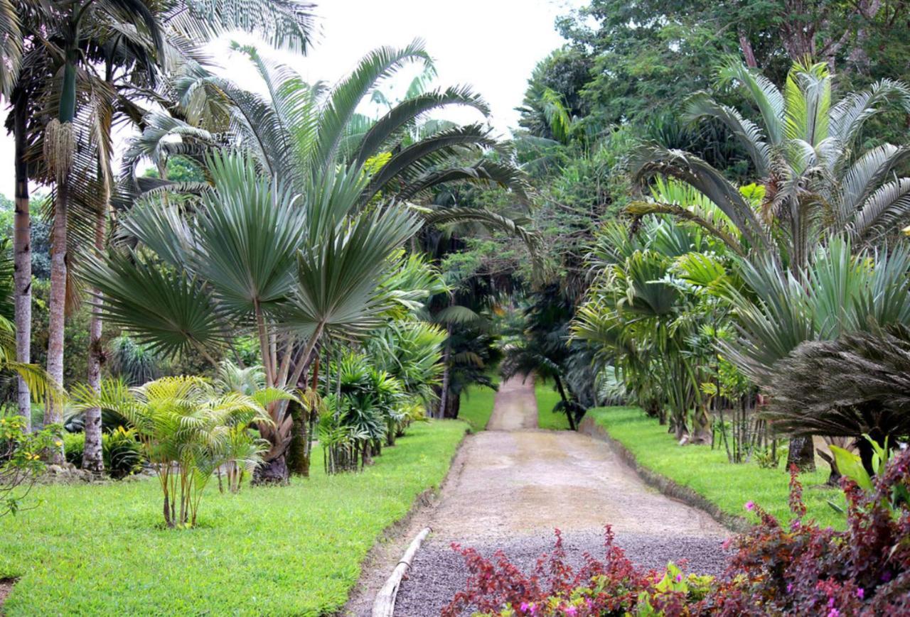 Bnb Tropical Island Aparthotel - Corales Del Sur - Santo Domingo Este Luaran gambar